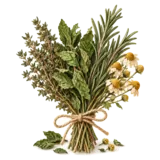 Dried Moroccan botanical herbs