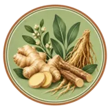 Herbal roots and botanical leaves
