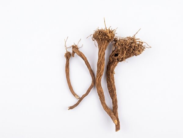 Close-up of dried Sarghine roots (Corrigiola telephiifolia) used for traditional Moroccan incense and herbal remedies.