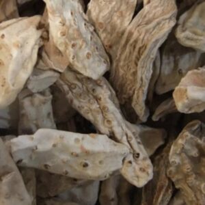 Premium dried iris root also known as orris root, natural Moroccan herbal ingredient for botanical and aromatic use.