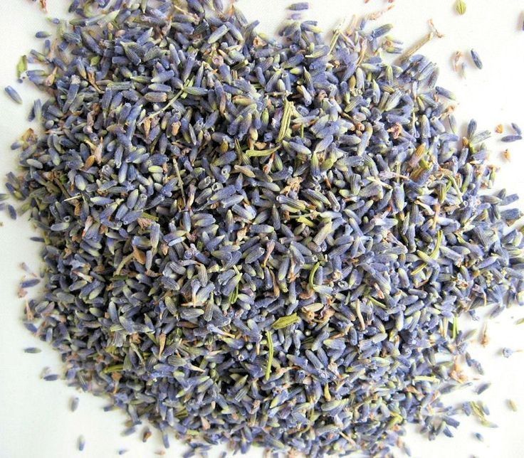 Bulk supply of aromatic dried Moroccan Lavender flowers from a wholesale distributor in Morocco.