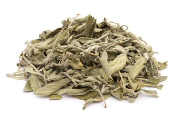 Bulk supply of aromatic dried Moroccan Sage leaves from a wholesale botanical distributor in Morocco.